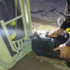 Gatto salvato dai vigili del fuoco