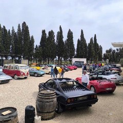 Auto VILLA SCHINOSA Degustazione Vini Olii