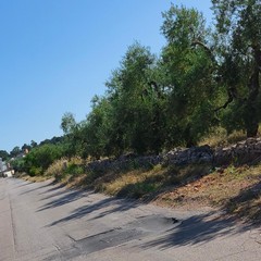 Buche via San Magno Corato