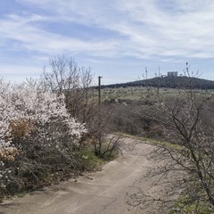 Castel del Monte panoramica JPG