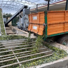 Alla scoperta dell’azienda agricola Di Martino