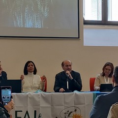 Giornate FAI di Primavera 2025 in BAT