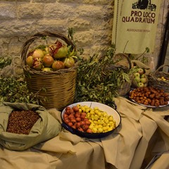 Festa della mandorla Copia JPG