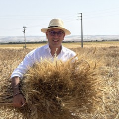 “Gran Giorno, Giornata del Grano": Granoro celebra il raccolto del grano pugliese e la filiera "Dedicato"