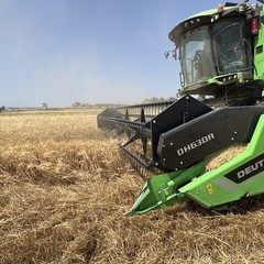 “Gran Giorno, Giornata del Grano": Granoro celebra il raccolto del grano pugliese e la filiera "Dedicato"