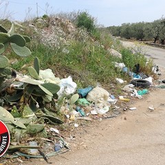 Le Guardie per l'ambiente denunciano: «La strada del Dolmen invasa da rifiuti»