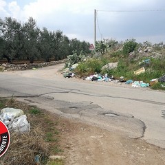 Le Guardie per l'ambiente denunciano: «La strada del Dolmen invasa da rifiuti»