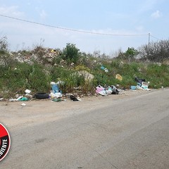 Le Guardie per l'ambiente denunciano: «La strada del Dolmen invasa da rifiuti»