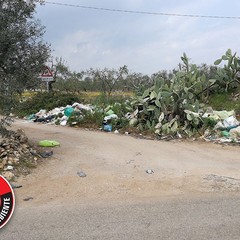 Le Guardie per l'ambiente denunciano: «La strada del Dolmen invasa da rifiuti»