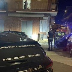 Boato nella notte a Corato, piazzano una bomba davanti ad una pizzeria