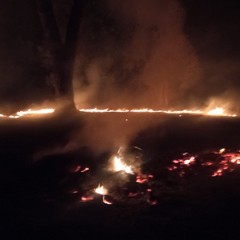 incendio sterpaglie Guardie Campestri