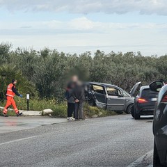 Incidente sulla Trani-Corato, viabilità in tilt