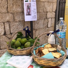 La festa di San Vito celebrata con la mostra d'arte Syke