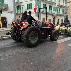 «Riprendiamoci la nostra dignità», a Corato il secondo maxi corteo in una settimana