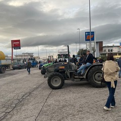 «Riprendiamoci la nostra dignità», a Corato il secondo maxi corteo in una settimana