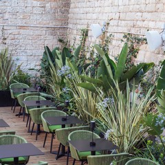 Apre Meduza a Bisceglie