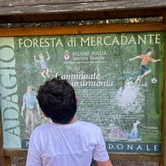Ponti piccoli cittadini grande coinvolgimento a Corato il progetto di Maniunite