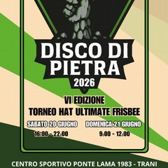 Disc&Disc Ultimate frisbee