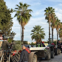 Caro vita, maxi corteo a Corato: agricoltori e lavoratori in piazza