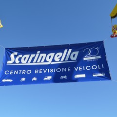 Scaringella JPG