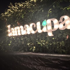 Aperitivo tra gli Ulivi