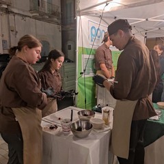 Festa della Mandorla