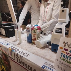 Festa della Mandorla