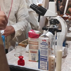 Festa della Mandorla