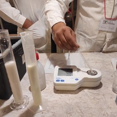 Festa della Mandorla