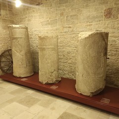 Museo e SMICO