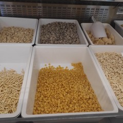 Giornata mondiale della pasta