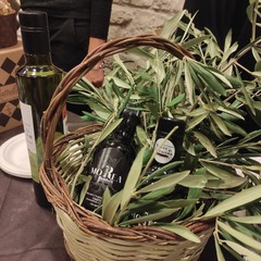 Così parla un albero