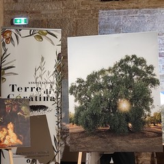 Così parla un albero