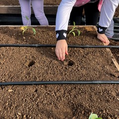 Giardino Sensoriale di Torre Palomba