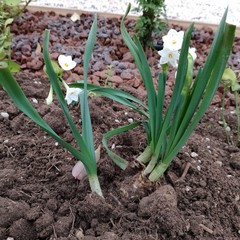 Giardino Sensoriale di Torre Palomba