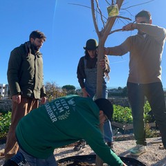 Giardino Sensoriale di Torre Palomba