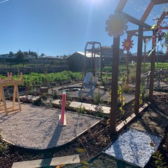 Giardino Sensoriale di Torre Palomba