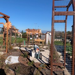 Giardino Sensoriale di Torre Palomba