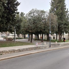 Rigenerazione del verde urbano in Piazza Vittorio Emanuele a Corato