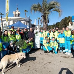 Defibrillatore Misericordia