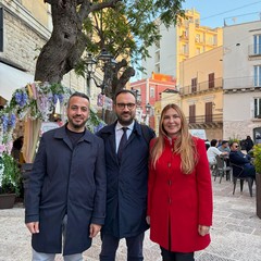 Movimento Cinque Stelle