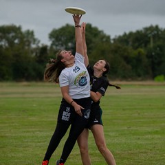 Disc&Disc Ultimate frisbee