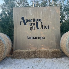Aperitivo tra gli ulivi