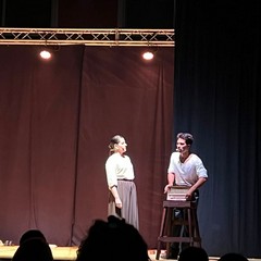 Le cicale non cantano
