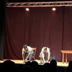 Le cicale non cantano
