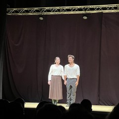 Le cicale non cantano