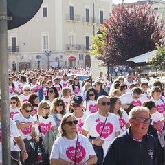 Walk for the Cure