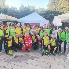 Walk for the Cure