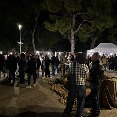 Festa della mandorla