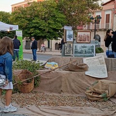Festa della mandorla